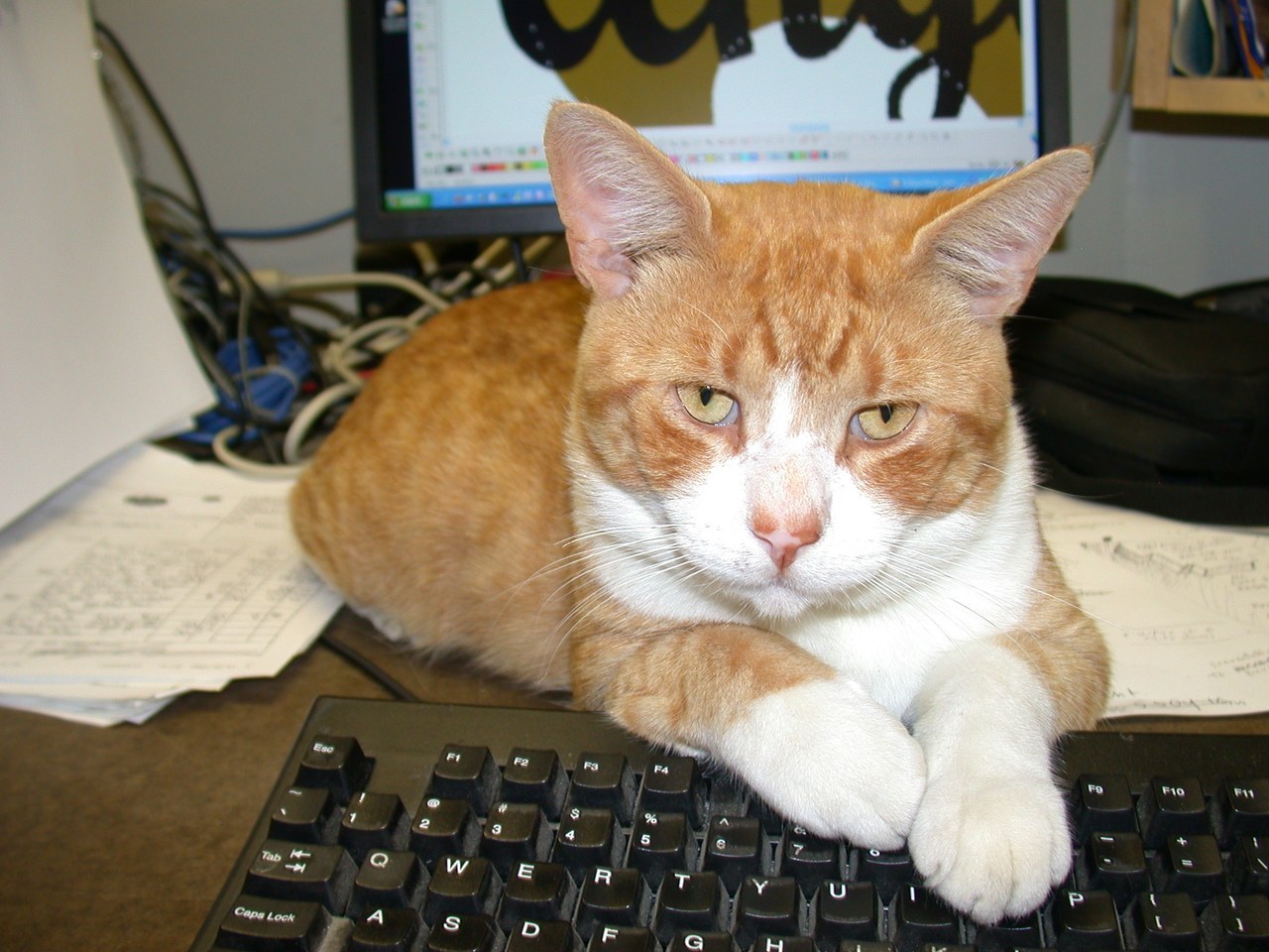 Choo Choo On The Keyboard