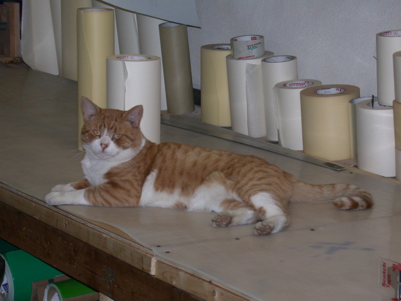 Choo Choo On The Vinyl Shelf