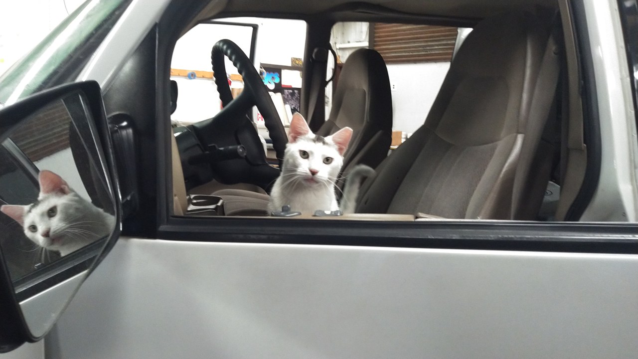 Marty In The Driver Seat