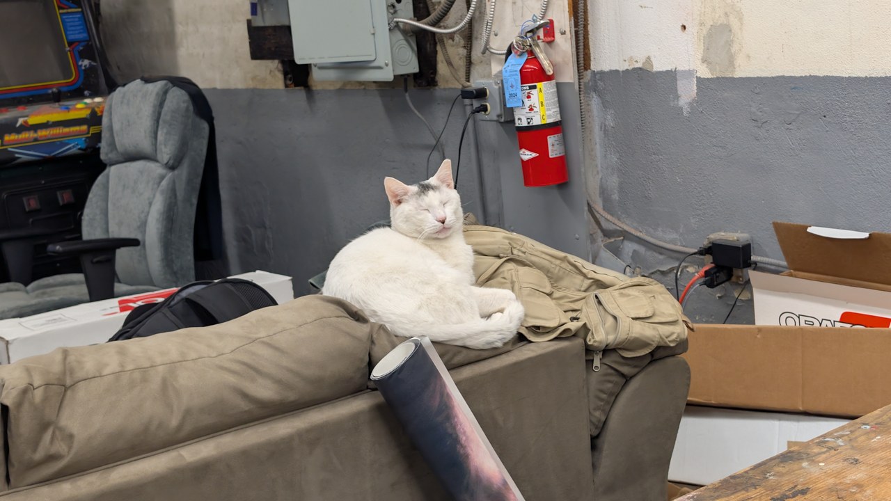 Marty Napping By Arcade Cabinet