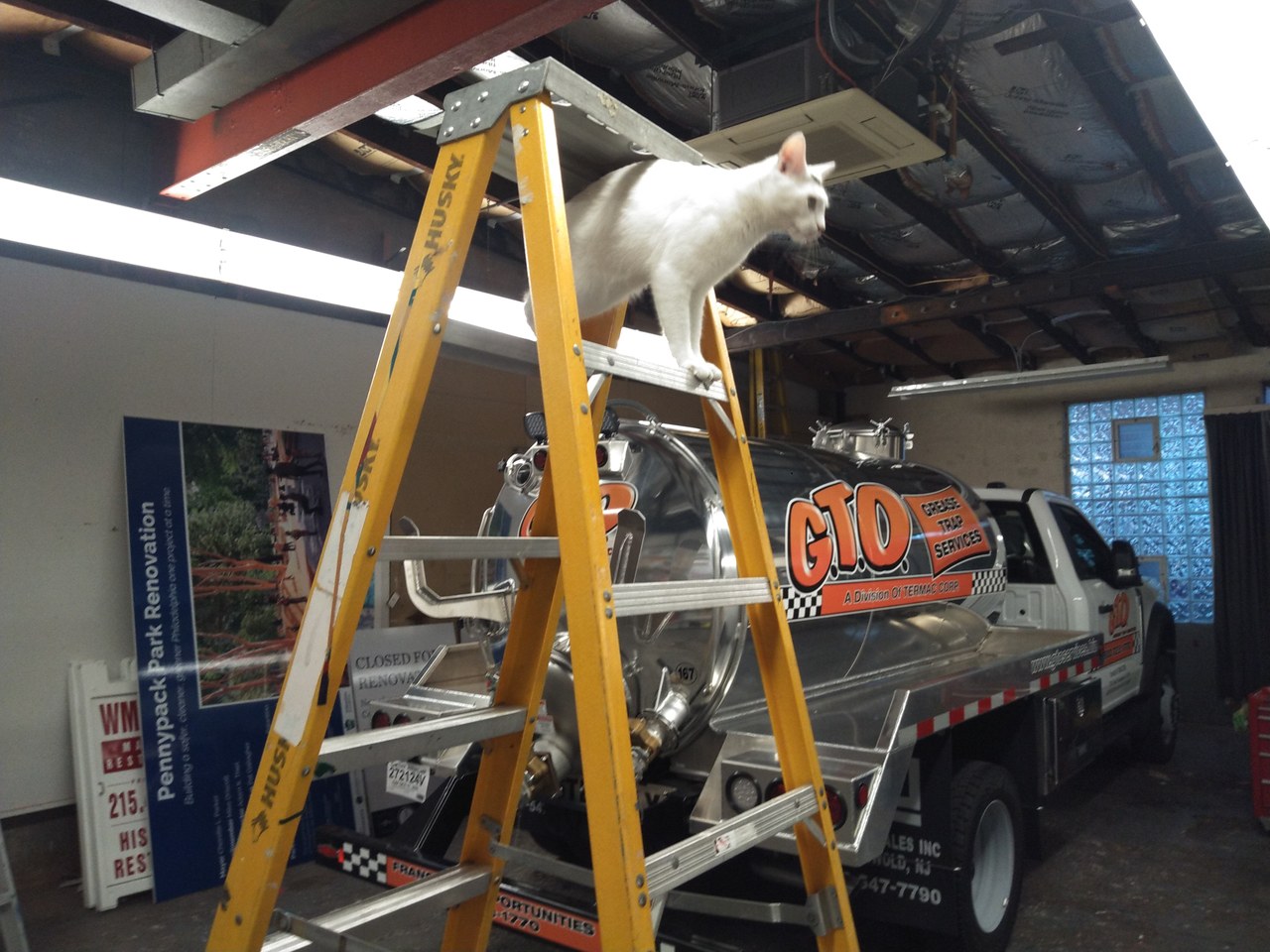 Marty On The Ladder