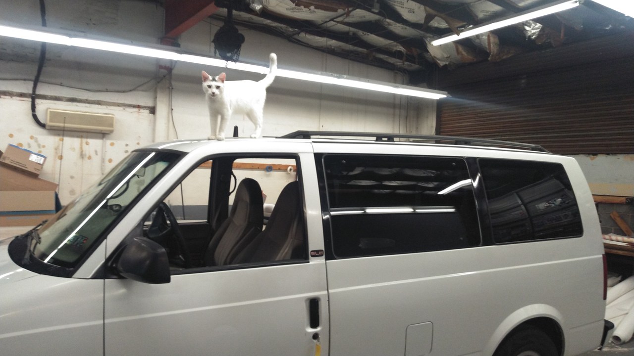 Marty On Top Of The Van