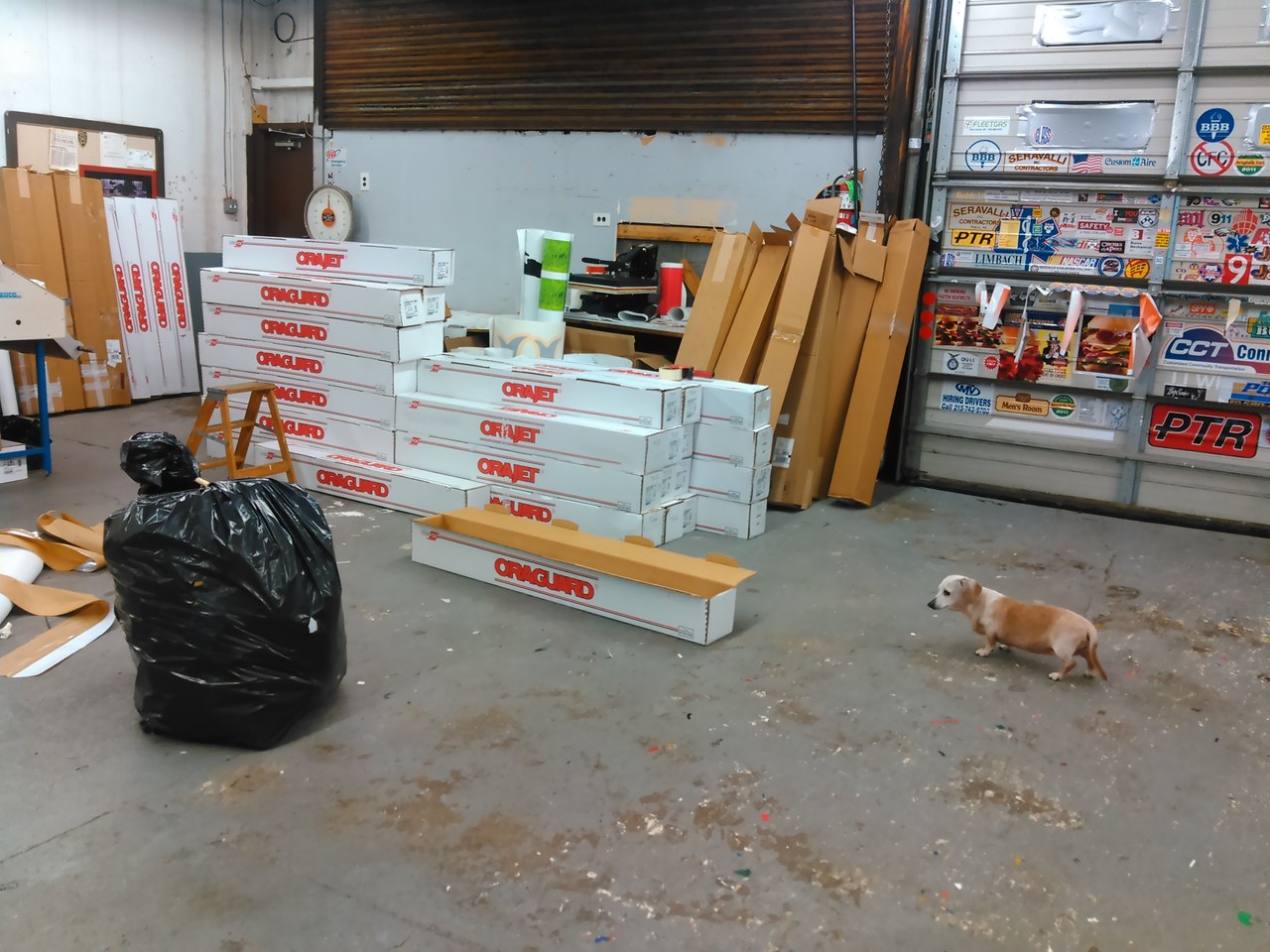 Scooby By The Orajet Boxes