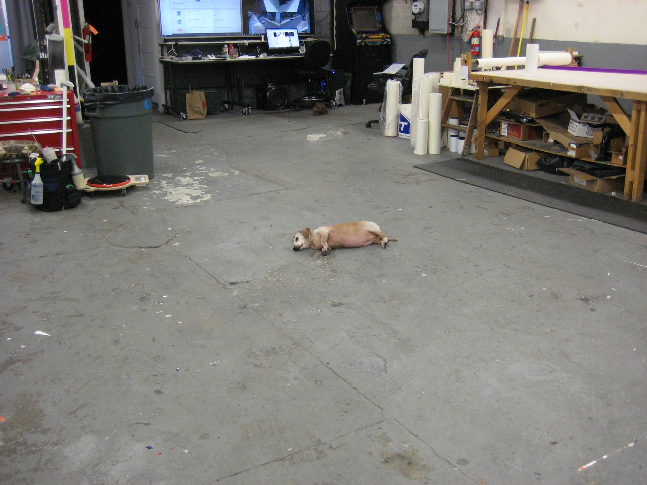 Scooby In The Middle Of The Shop