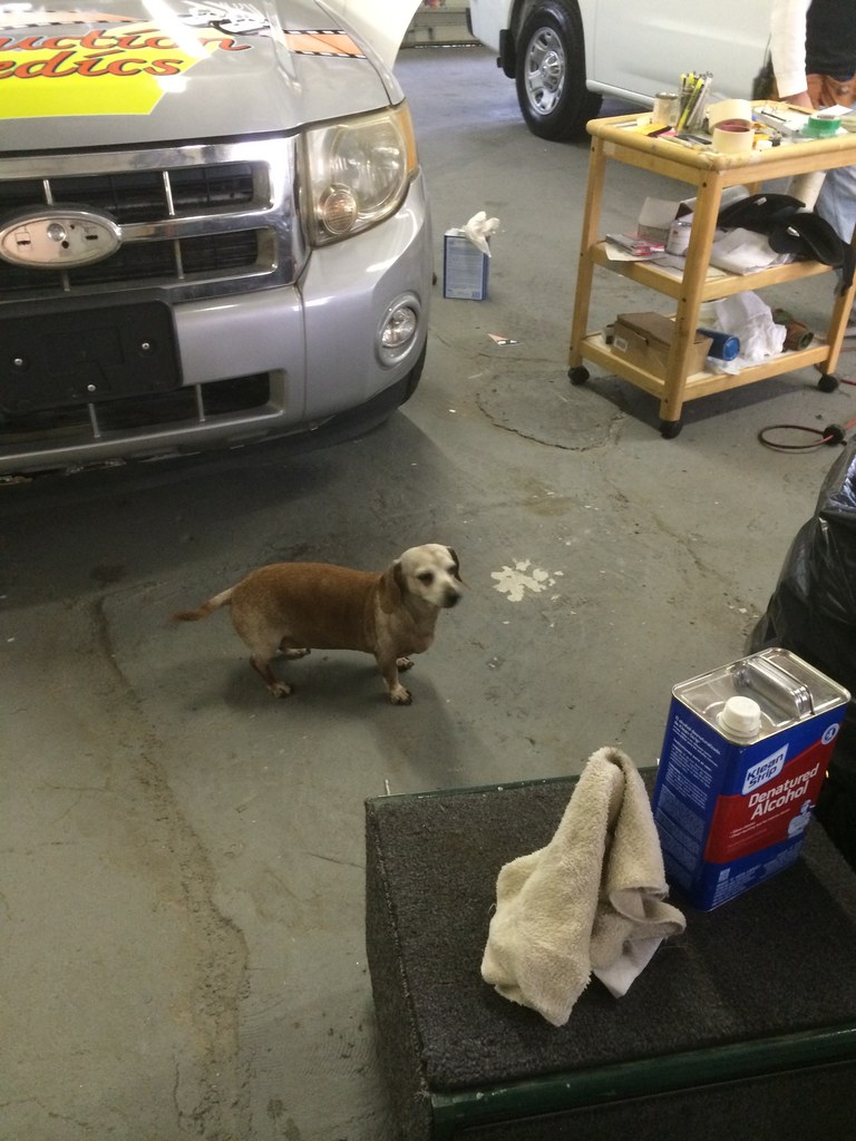 Scooby In The Shop