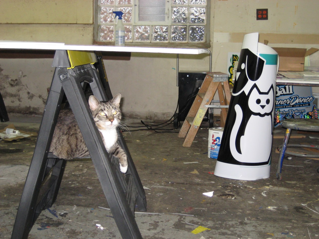 Scratchy Next To The Cat Sign