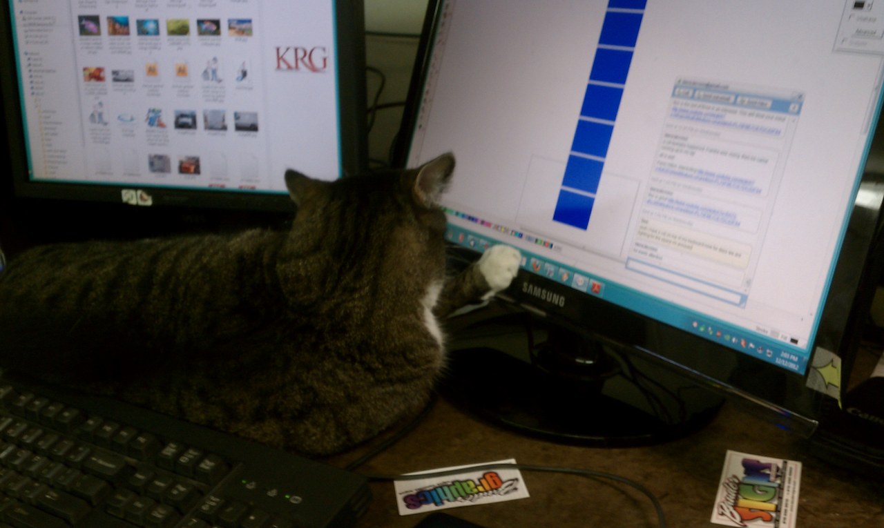 Scratchy On The Desk