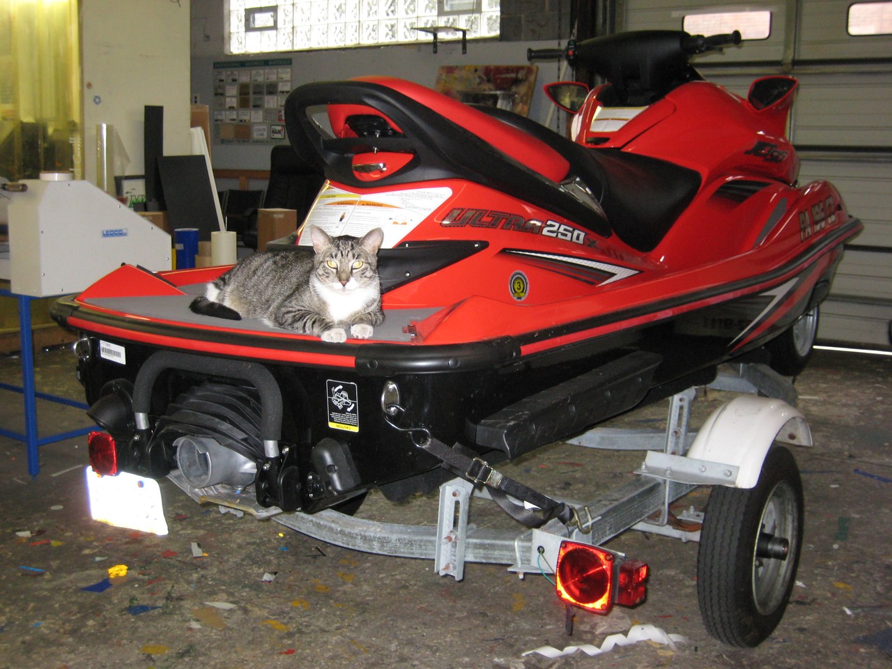 Scratchy On The Jet Ski