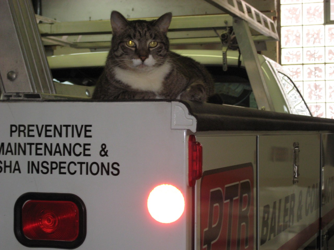 Scratchy On The Service Truck