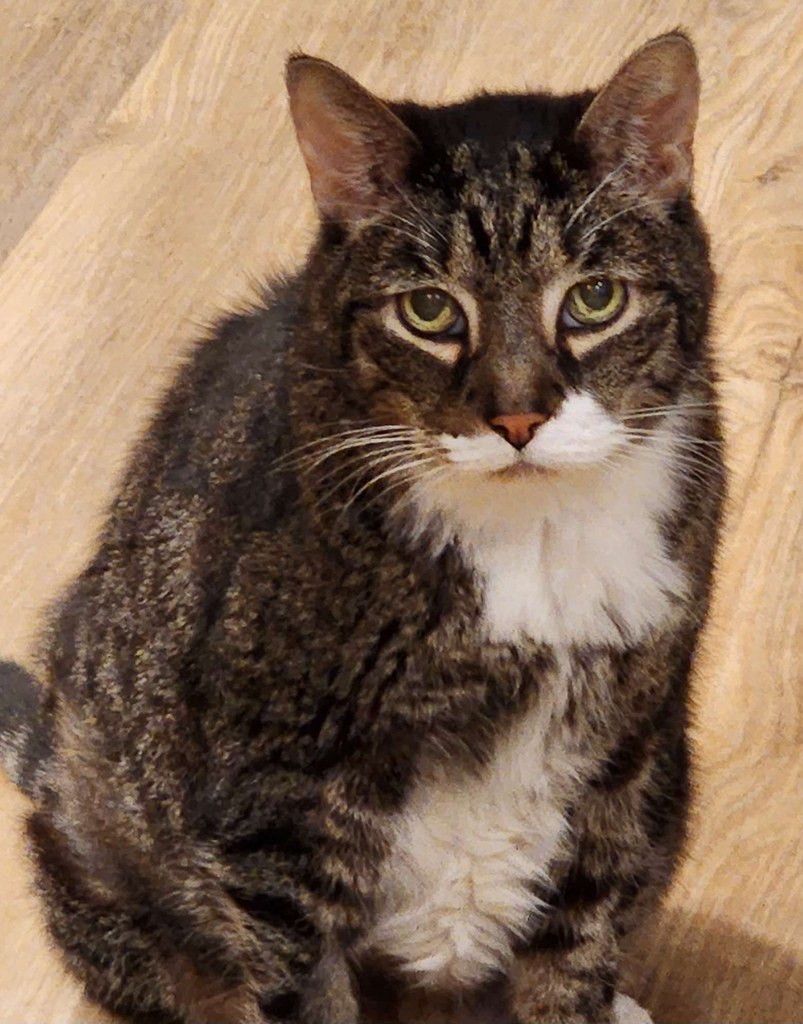 Scratchy Portrait On Wood Floor