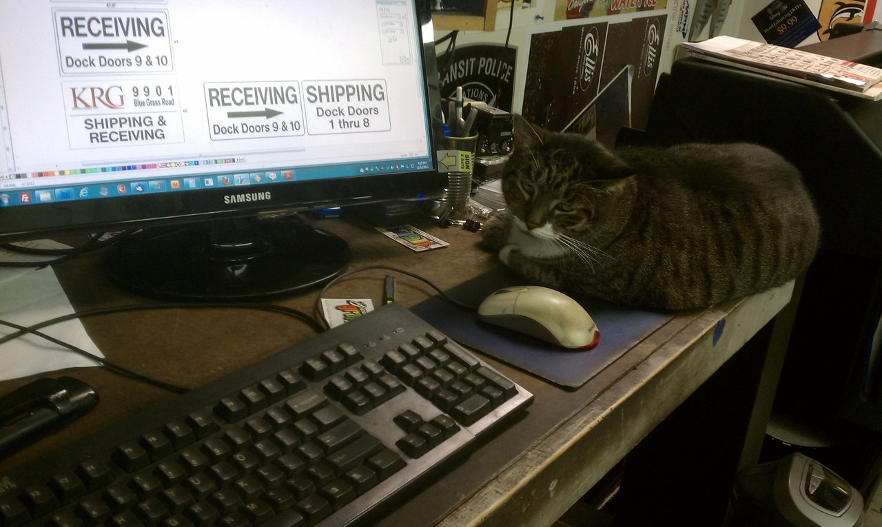 Scratchy Supervising Sign Work