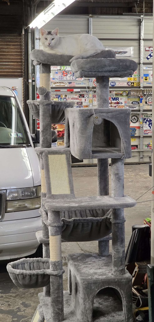 marty judging your work from the cat tower