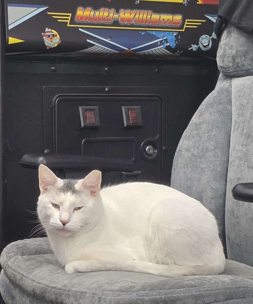marty supervising the arcade cabinet