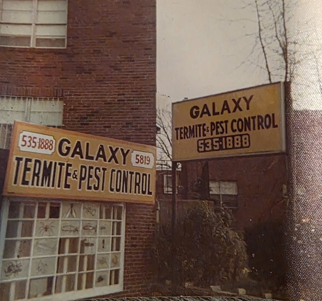 galaxy termite control