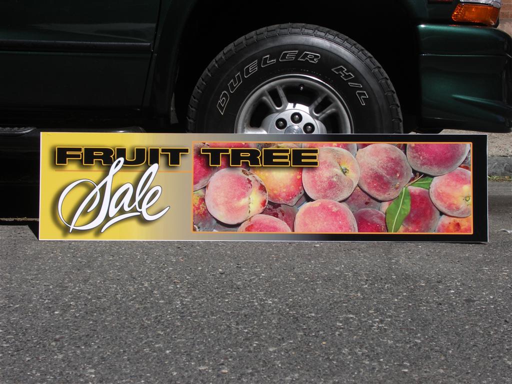 Fruit Tree Sale Banner With Peaches