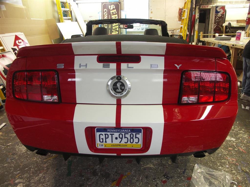 Ford Mustang Shelby Convertible Rear