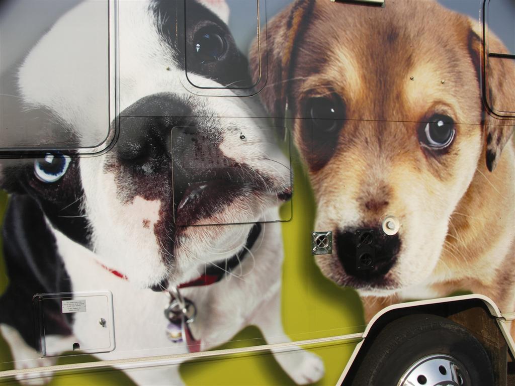 PSPCA Mobile Adoption Center RV Detail
